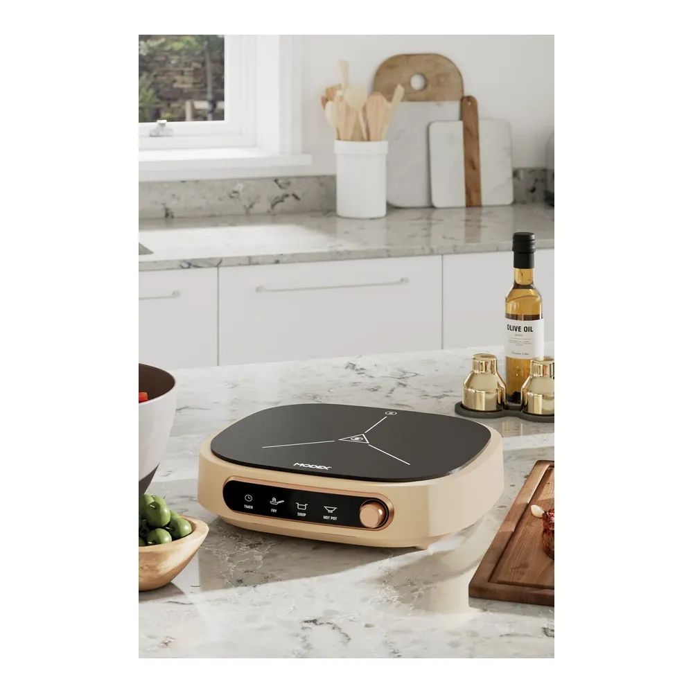 Modex Infrared Hop Single Burner 2200W-IC100 — 3