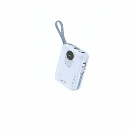 GULFY 45W Laptop Power Bank 20000mAh-Blue-G62